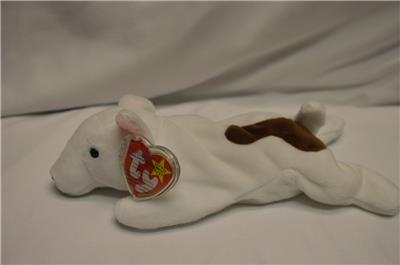 Dog Bull Terrier No Hang Tag Ty Beanie Baby Butch