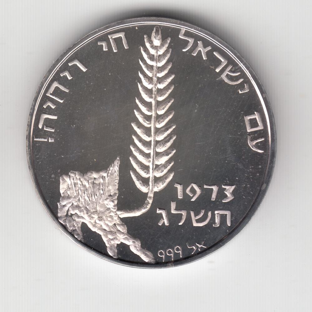 1973 Avraham Lerner Israel S 25th Anniversary Am Yisrael Chai Medal 1973 Avraham Lerner Israel 039 S 25th Anniversary