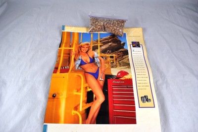 tools 1999 bikini on Snap calendar