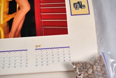 tools 1999 bikini on Snap calendar