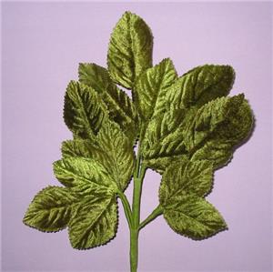 Vintage Green Velvet Rose Leaf Stems