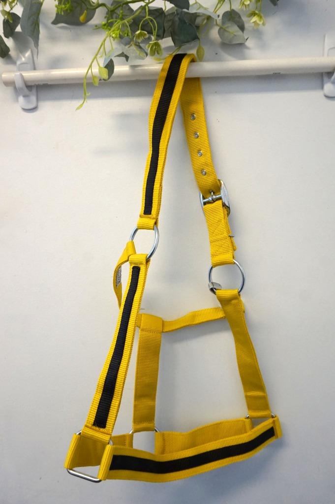 Popular Black Striped DRAFT XL Horse- Mustard Yellow Or Purple- Nylon Halters