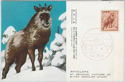 57478 - JAPAN - POSTAL HISTORY: MAXIMUM CARD 1927 - FAUNA