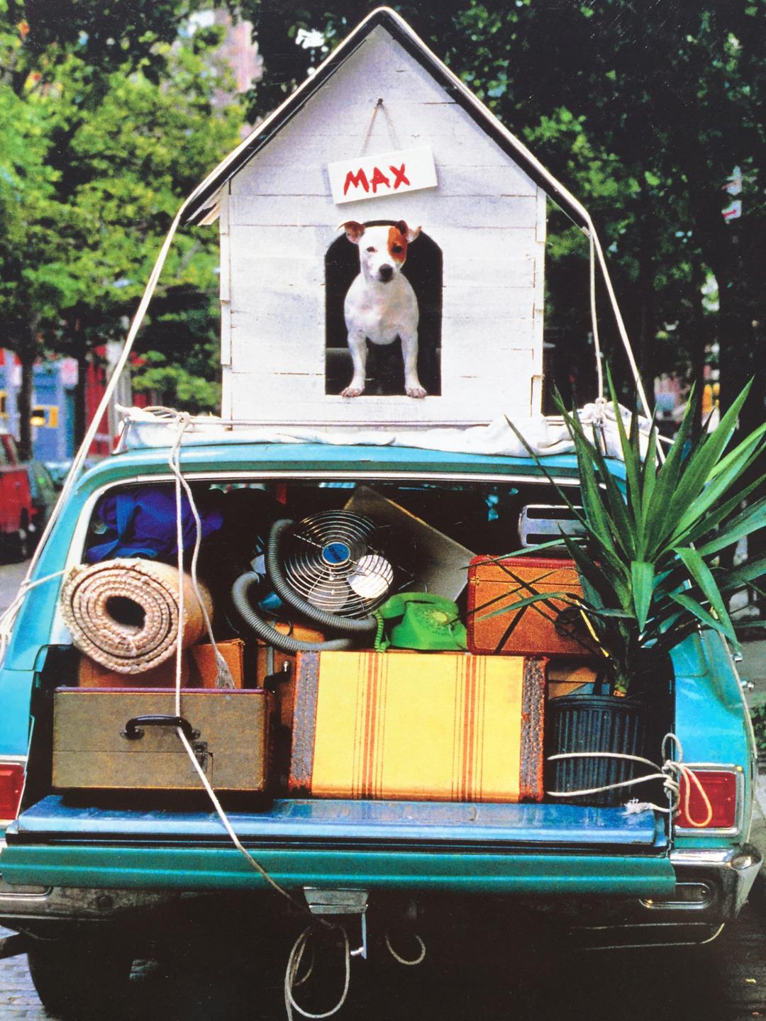 YOU'RE LEAVING / GOODBYE CARD Hallmark / RPG / Heath / Avanti FUNNY & CLASSIC - Picture 4 of 5