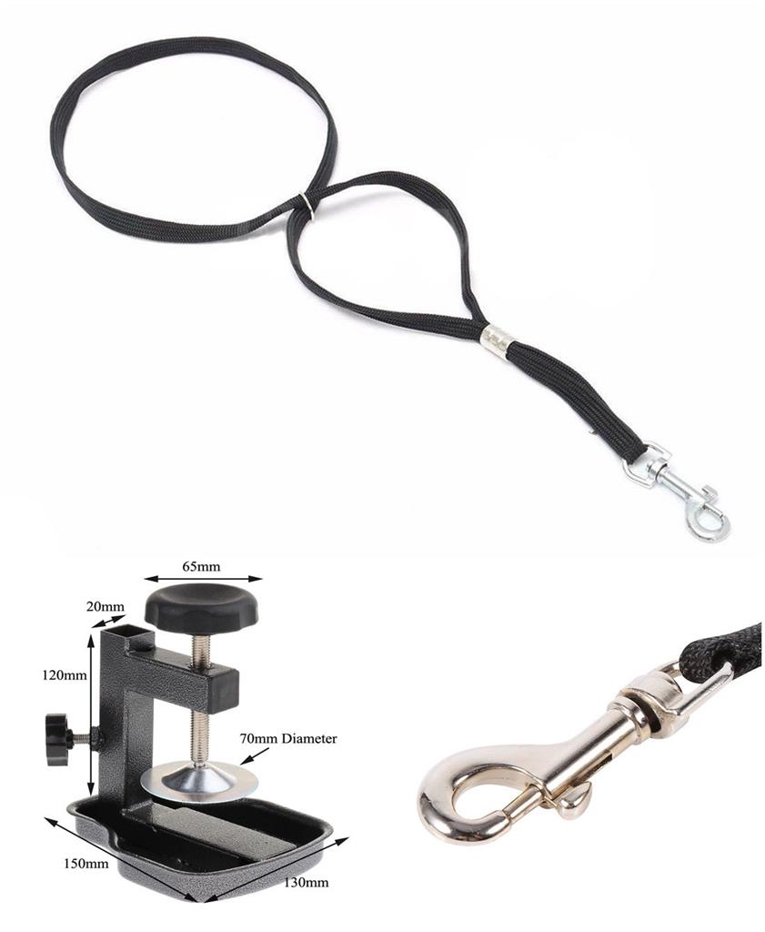 DOG GROOMING ARM ADJUSTABLE REACH Dog Show Products Pet Homes