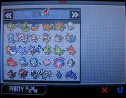 pokemon black nds