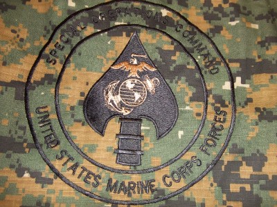 USMC MARINES MARSOC MAR-SOC MARPAT MMA PT BOARD SHORTS