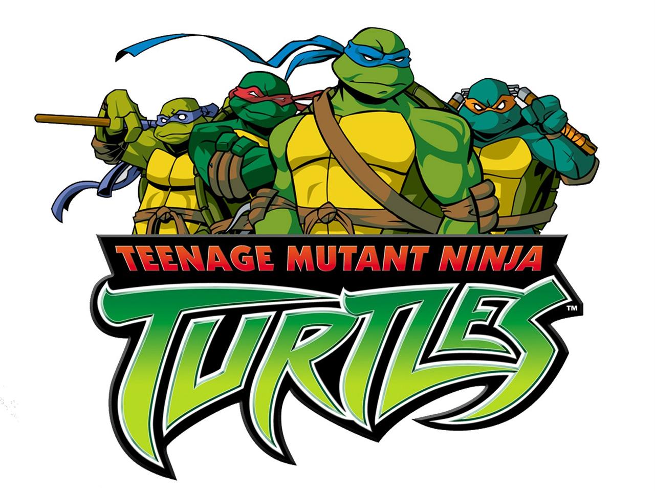 Teenage Mutant Ninja Turtles Iron on Transfer | eBay