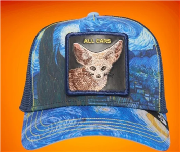 Goorin Bros All Ears Van Gogh Ya Heard Friday Drop Limited  display picture 2