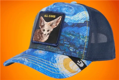 Goorin Bros All Ears Van Gogh Ya Heard Friday Drop Limited  display picture 1
