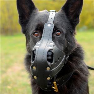 German Shepherd K9 Police Muzzle Training