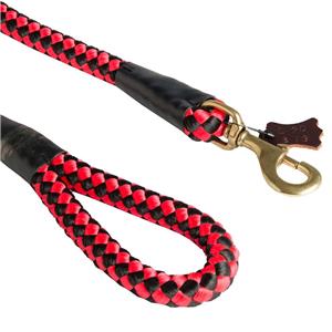 Thick Rope Dog Lead