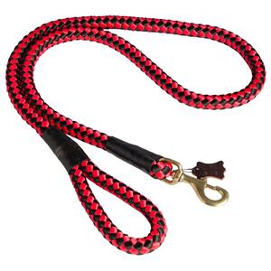 Red Dog Leash Rope