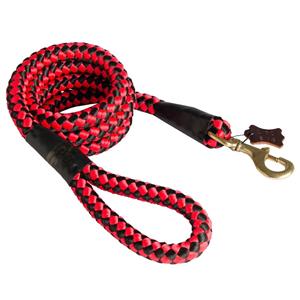Red Rope Dog Lead