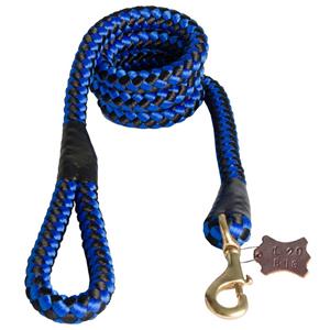 Blue Rope Lead for Dog