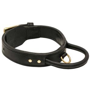 leather training collar