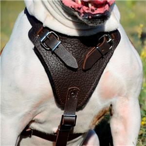 Brown Leather Dog Harness for Large Dogs
