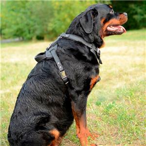 K9 Rottweiler Dog Harness With Handle For Medium Large Dogs Black Brown Padded Ebay