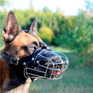 Belgium Shepherd Dog Muzzle Basket