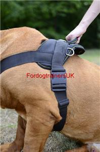 Strong nylon dog harness handle for French Mastiff