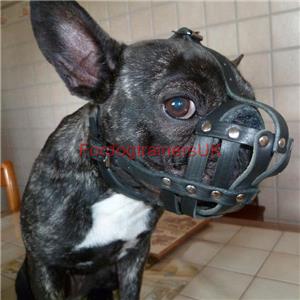 Flat Face Dog Muzzle for French Bulldog | Soft Dog Muzzle ...