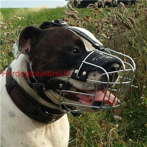 New Amstaff Dog Muzzle Basket | Padded 