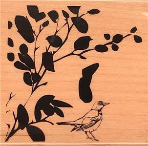 New Hampton Art Warehouse Rubber Stamp Song Bird Branches Free Usa Ship Wd Mntd 729632134197 Ebay