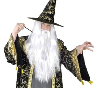 MERLIN DELUXE WIZARD ROBES MENS PLUS SIZE COSTUME