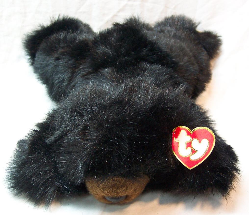 cat paw teddy