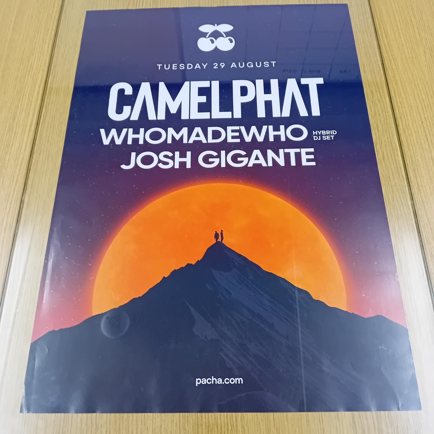 CAMELPHAT @ PACHA IBIZA 2023 - IBIZA CLUB POSTERS - DJ DANCE HOUSE MUSIC - Picture 24 of 29