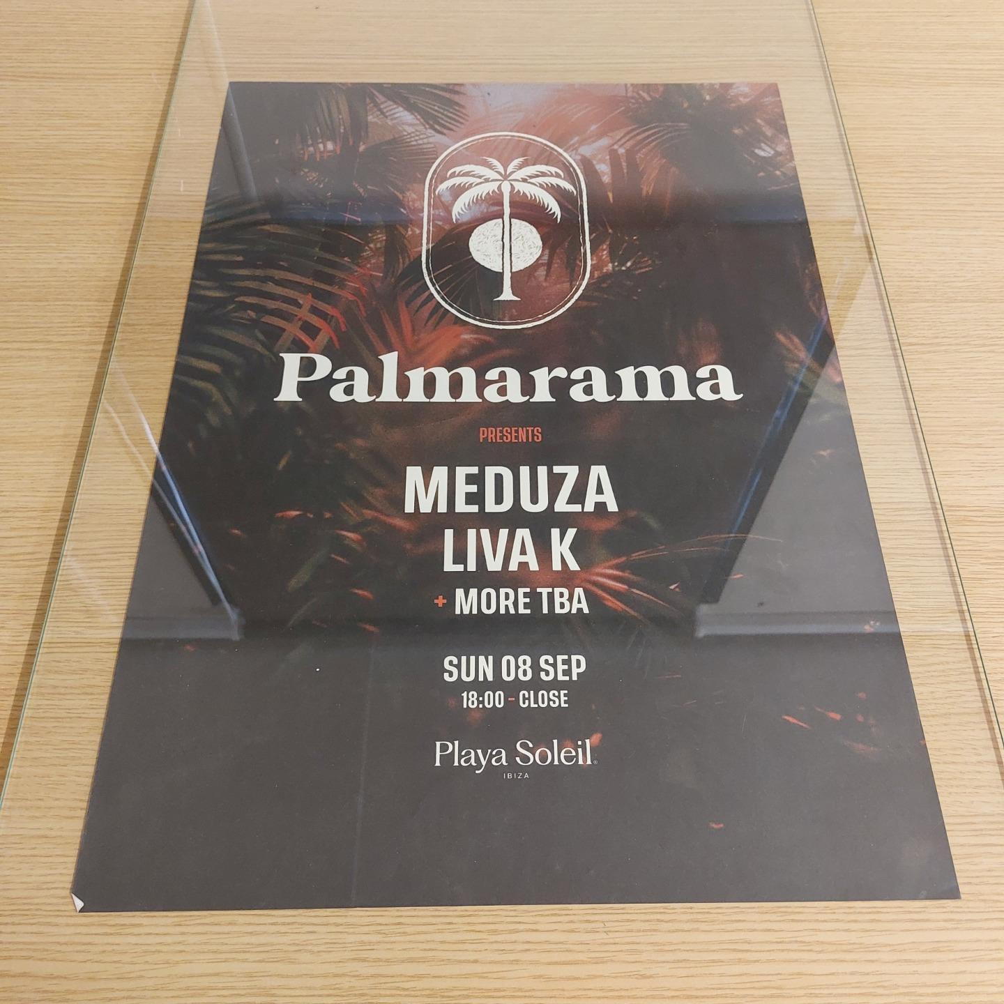 PALMARAMA 2024 @ PLAYA SOLEIL IBIZA - IBIZA CLUB POSTERS - DJ HOUSE MUSIC - Picture 8 of 10