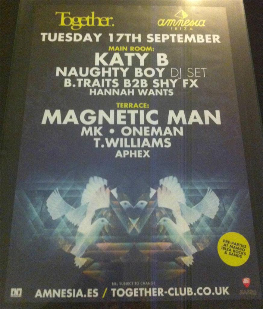 TOGETHER 2013 @ AMNESIA CLUB - IBIZA CLUB POSTERS - DRUM & BASS DNB MUSIC DJ - Picture 15 of 16