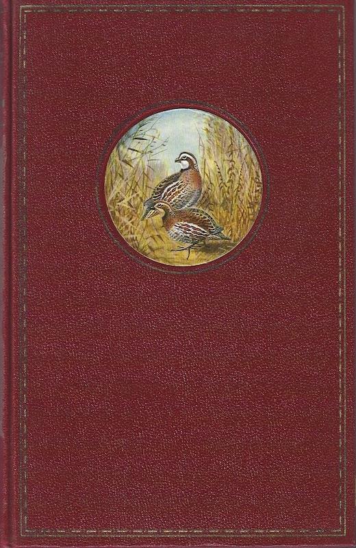Mark right!: Tales of shooting & fishing,