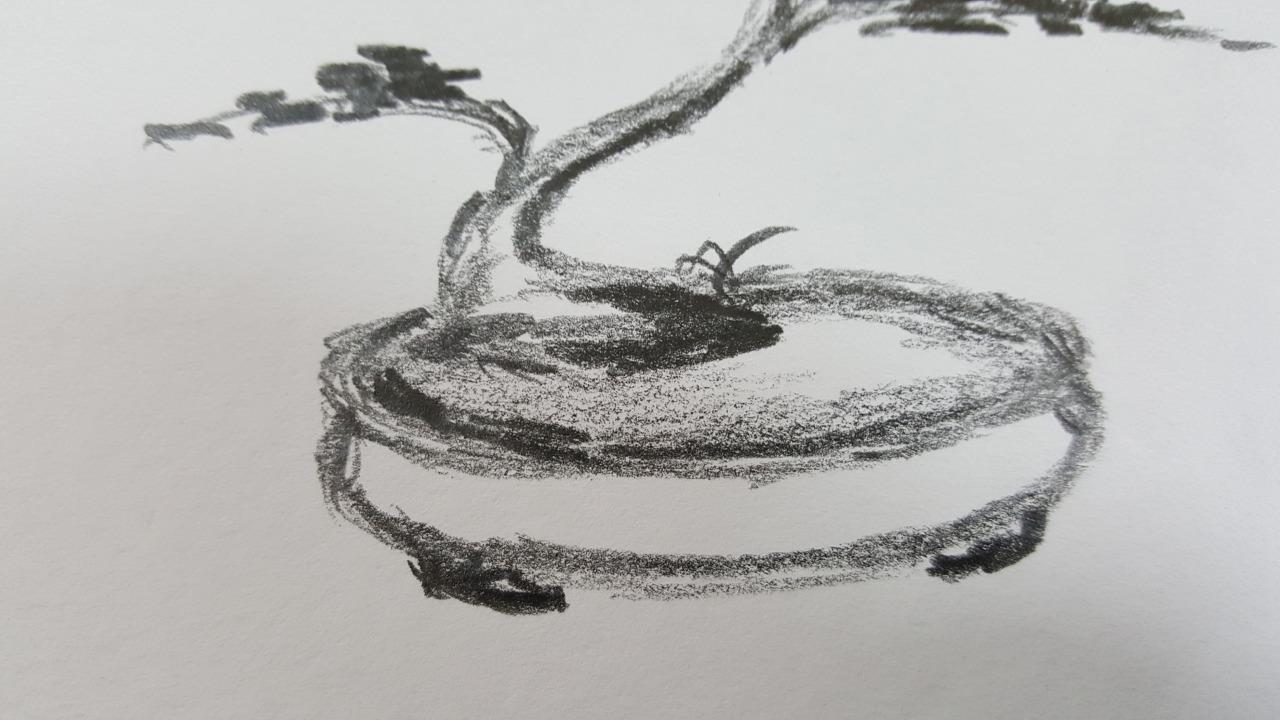 compo bonsai erde Bonsaierde 5 L