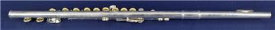 Unbranded Flute Project w/ Case Woodwind Band Instrument