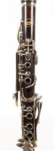 Allora Paris Series Grenadilla Clarinet Silver Plated Keys