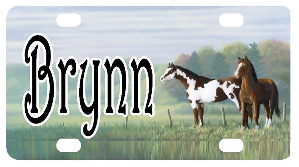 HORSES MINI LICENSE PLATE Any Name Personalized for Kids Bikes Wagons