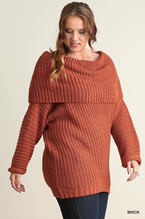 Plus size Rust Chunky Oversized sweater tunic top long sleeves XL,1X