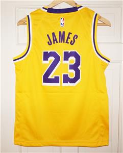 Youth Nike LeBron James #23 LA Lakers Icon Edition Gold ...