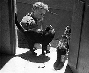 Statuettes Dubout Les chats THE WALK 8717202556939