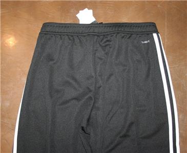 sereno 19 training pants